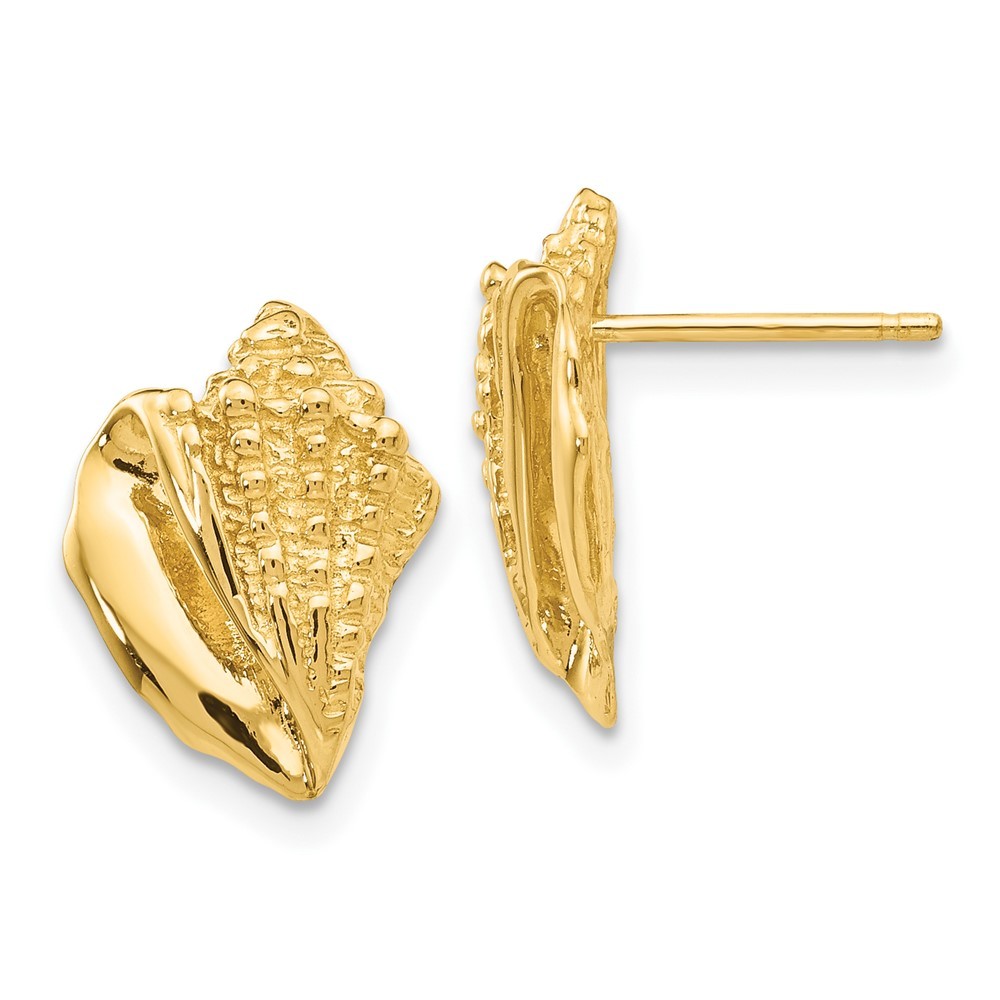 14k Yellow Gold Beach Conch Shell Post Earrings w Butterfly Push Friction Back